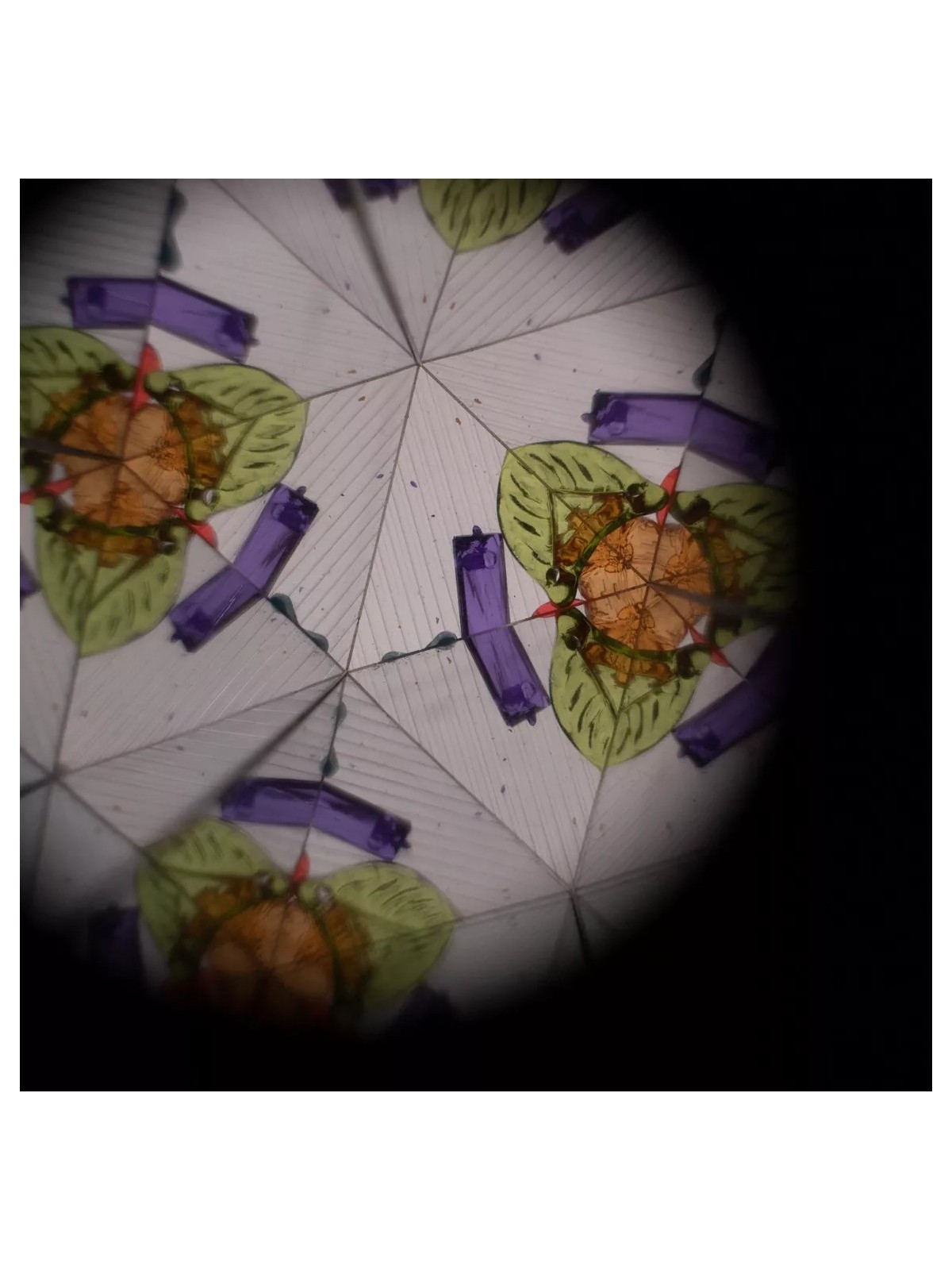 Kaléidoscope, Lapin - Filibabba