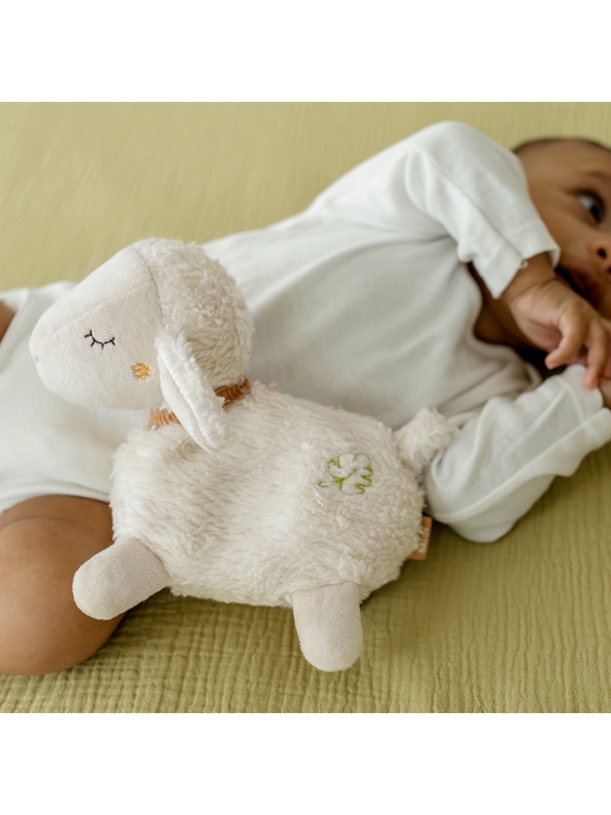 Bouillote pépins de raisin, ami-câlin Mouton - Fehn